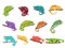 Chameleon animal. Mexican colourful lizard with curvy tail, tropical reptile animal and wild exotic chameleons vector