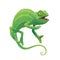 Chameleon cartoon vector green lizard animal