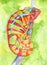 Chameleon - drawing watercolor. Multi-colored lizard. Use printed materials, signs, items, websites, maps, posters, postcards, pac