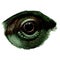 Chameleon eye close-up in profile