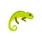 Chameleon icon in flat style