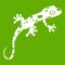 Chameleon icon green
