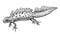 Chameleon illustration, drawing, engraving, ink, line art, vectorGreat Crested Newt illustration, drawing, engraving, ink, line ar