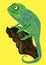 Chameleon lizard drawing color graphics details