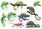 Chameleon lizards, cartoon reptile animals