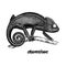 Chameleon on a tree branch. Sketch of Lizard. Black and white vector