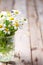 Chamomile bouquet in jar