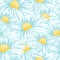 Chamomile or Daisy Seamless Vector Pattern