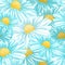 Chamomile or Daisy Seamless Vector Pattern