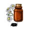 Chamomile essential oil bottle and bunch of flowers hand drawn v