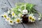 Chamomile essential oil and chamomile flowers