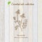 Chamomile, essential oil label, aromatic plant