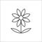 Chamomile flower editable outline icon - pixel perfect symbol of daisy-like plant in thin line art style.