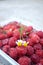 Chamomile flower on a fresh raspberries