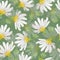 Chamomile flowering field watercolor seamless pattern
