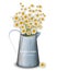 Chamomile flowers in a pot vase Vector. Spring background. Realistic 3d illustrations