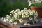 Chamomile flowers in teacup on wooden table in garden