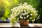 Chamomile flowers in teacup on wooden table in garden