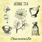 Chamomile herbal tea. Set of elements on the basis hand pencil drawings.