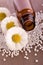 Chamomile homeopathic globule