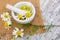 Chamomile, medicinal plant