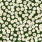 Chamomile seamless pattern. Daisies on green background.