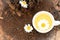 chamomile tea is a therapeutic healthy drink cup on a wooden background Concept of medicinal herbs.phytotherapy. Copy