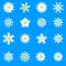 Chamomile. White daisy round flower set. Camomile icon collection.  Isolated on blue background. Flat design. Vector illustration