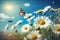 Chamomiles daisies macro in summer spring field on background blue sky with sunshine and a flying butterfly, nature panoramic view