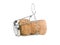 Champagne Bottle Cork