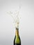 Champagne bottle exploding