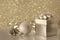 Champagne colour Christmas ball, fir cone and gift box decorated with a bow on a reflective surface