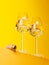 Champagne elegance: Glasses with sparkling wine against a vibrant yellow background