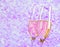 Champagne flutes with gold bubbles on blur violet tint light background
