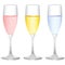 Champagne glass vector
