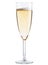 Champagne glass on white background