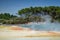 Champagne Pool geothermal pond in the Waiotapu region of New Zealand