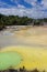 Champagne pool in Wai-O-Tapu thermal wonderland in Rotorua, New Zealand