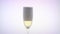 Champagne poured into glass. White background