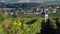 Champagne vineyards in the Montagne de Reims area of the Marne department