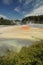 Champaign Pool Geyser