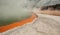 Champaign Pool Geyser