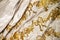 Champane colored fabric with golden embroidery