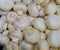Champignon harvest. white champignons for food textures