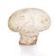 Champignon isolated