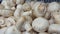 Champignon mushrooms. Display of fresh mushrooms at a market