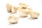 Champignon paris mushrooms over white background