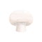 Champignon small edible mushroom realistic fungi