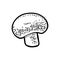 Champignon. Vintage monochrome vector engraving illustration