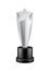 Champion award glass. Shiny realistic silver award, winner trophy awards in star form, sport or art competitions achieve